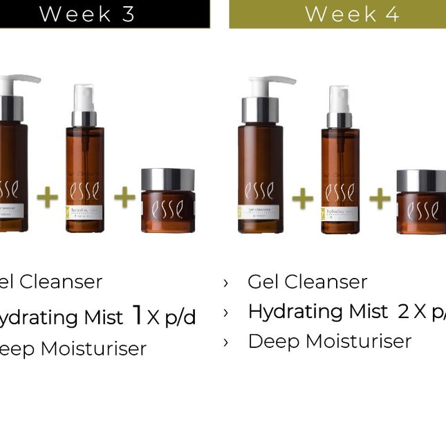 Trial Travel Set - Normal - Oily Skin - Esse